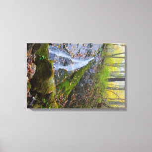 Wigwam Falls, Blue Ridge Parkway, Virginia Canvas Print