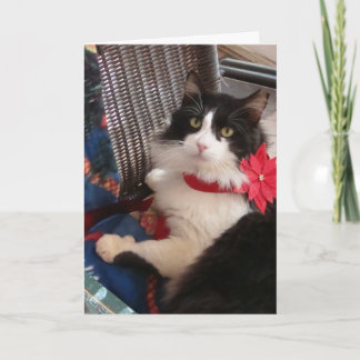 Wilbur's holiday greeting card