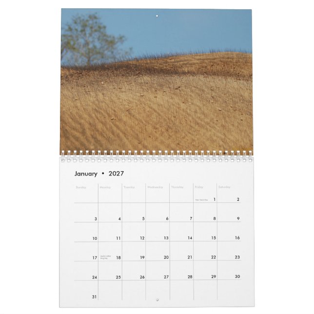 wild about elephants calendar (Jan 2027)