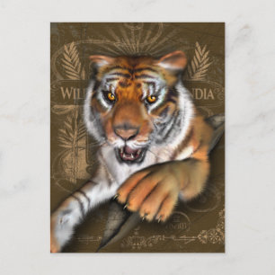 Wild About Tigers Postcard