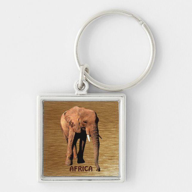 Wild Africa Animal-lovers Big Five Keychain (Front)