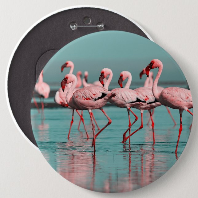 Wild African flamingos 6 Inch Round Button (Front & Back)