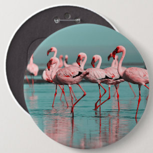 Wild African flamingos 6 Inch Round Button