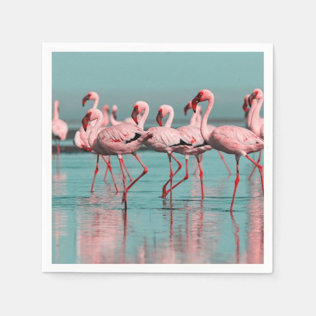 Wild African flamingos Napkin (Front)
