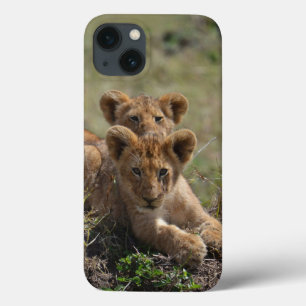 Wild African Lion Cubs iPad Mini case