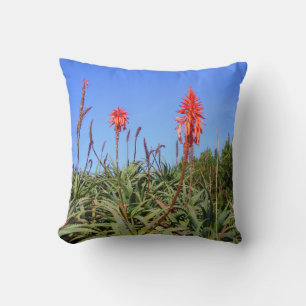 wild aloe pillow