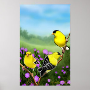 Wild American Goldfinches Print