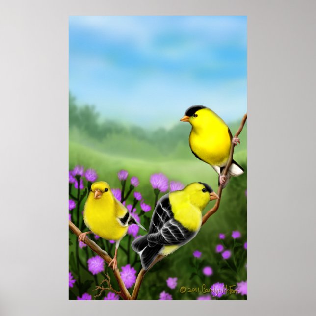 Wild American Goldfinches Print (Front)