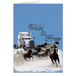 Wild & Free