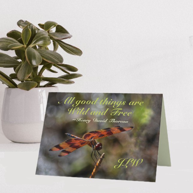 Wild and Free Golden Dragonfly Blank Note Card (Creator Uploaded)