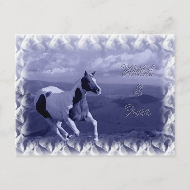 Wild and Free Postcard (Front)