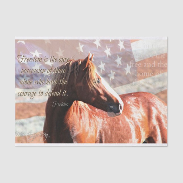 Wild and Patriotic Tissue Gift Paper (Front)