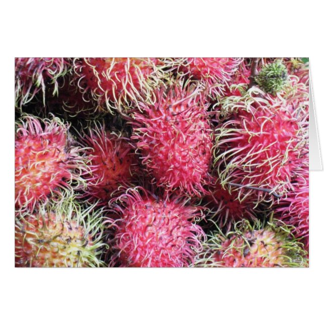 Wild and Wooly Rambutan (Front Horizontal)