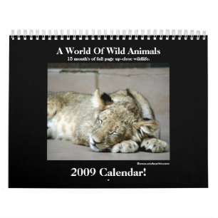 Wild Animal 2009 Calendar! Calendar