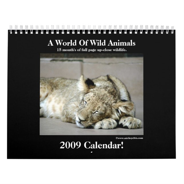 Wild Animal 2009 Calendar! Calendar (Cover)