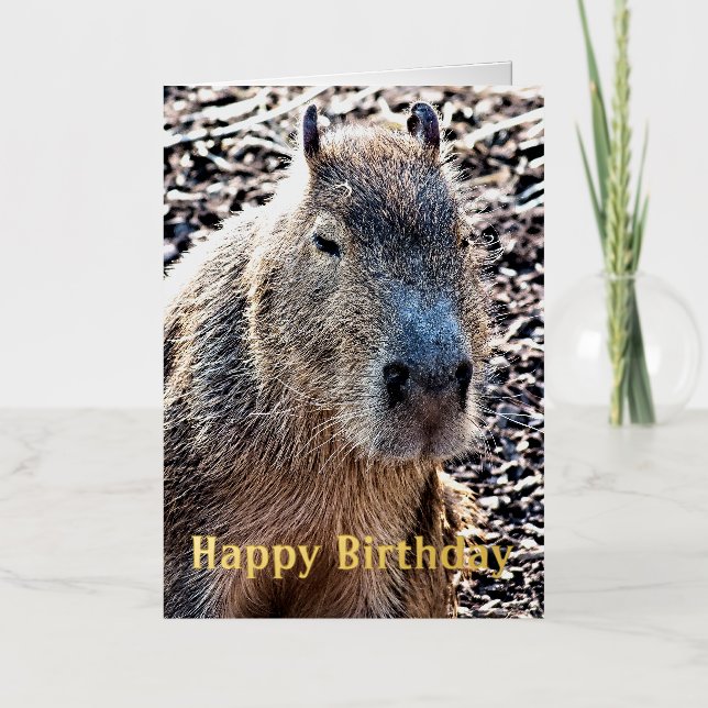 WILD ANIMAL CAPYBARA FOIL GREETING CARD (Front)