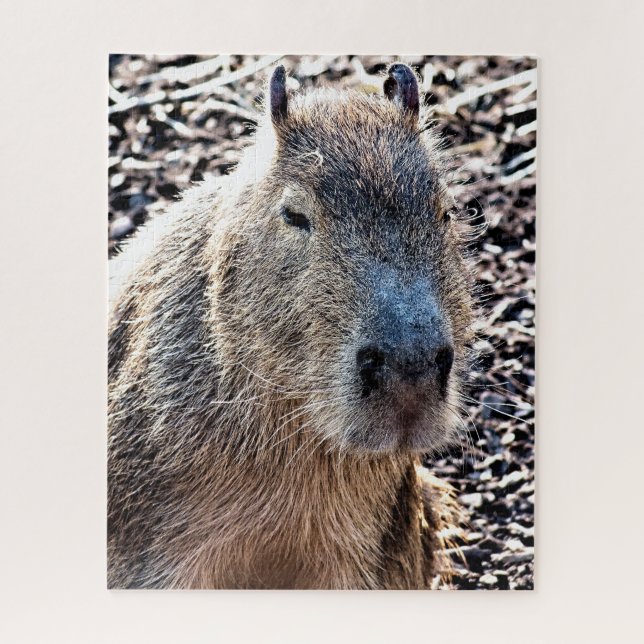 WILD ANIMAL CAPYBARA JIGSAW PUZZLE (Vertical)