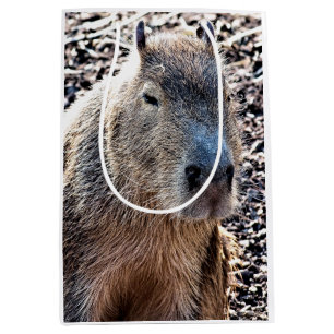 WILD ANIMAL CAPYBARA MEDIUM GIFT BAG