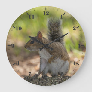 Wild animal cute grey squirrel large clock