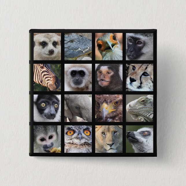 Wild Animal Faces -- Mammals, Reptiles, Birds 2 Inch Square Button (Front)