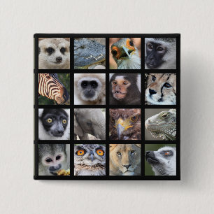 Wild Animal Faces -- Mammals, Reptiles, Birds 2 Inch Square Button