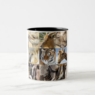 Wild Animal Faces Mug