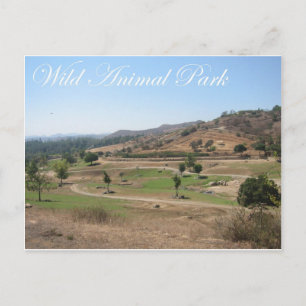 Wild Animal Park 2 Postcard