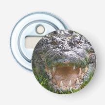 Wild animal saltwater crocodile head mouth open