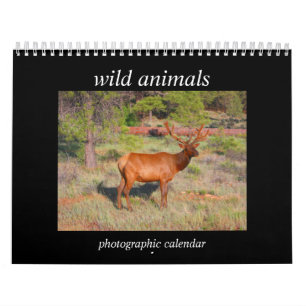 wild animals 2026 calendar