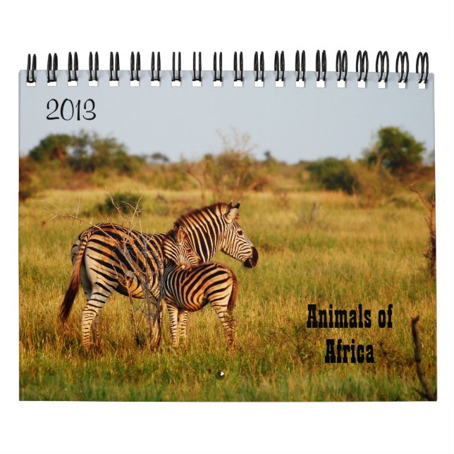 Wild animals Africa safari 2013 Calendar (Cover)