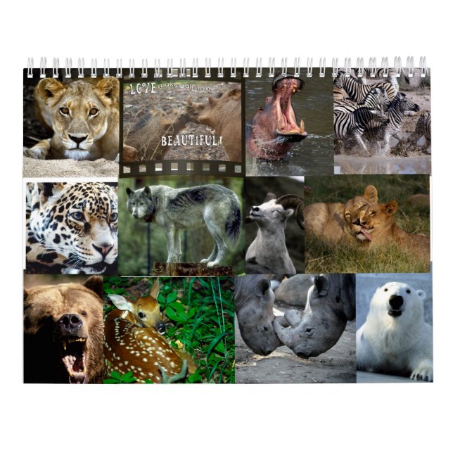 WILD ANIMALS CALENDAR (Back)