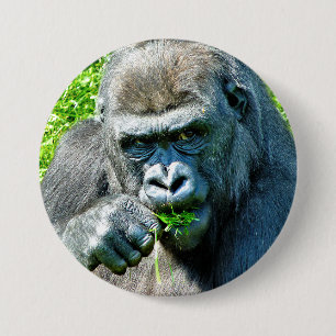 WILD ANIMALS - GORILLAS 3 INCH ROUND BUTTON