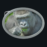 WILD ANIMALS - GORILLAS BELT BUCKLE<br><div class="desc">What a handsome boy! Although this gorilla was a little shy about having his photo taken.</div>