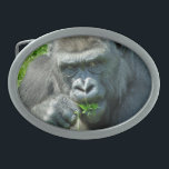 WILD ANIMALS - GORILLAS BELT BUCKLE<br><div class="desc">What a handsome boy! Although this gorilla was a little shy about having his photo taken.</div>