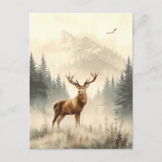 Wild Animals of Alaska. Reindeer.. Postcard