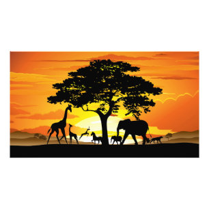 Wild Animals on African Savanna Sunset Photo Print