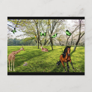 Wild Animals Postcard