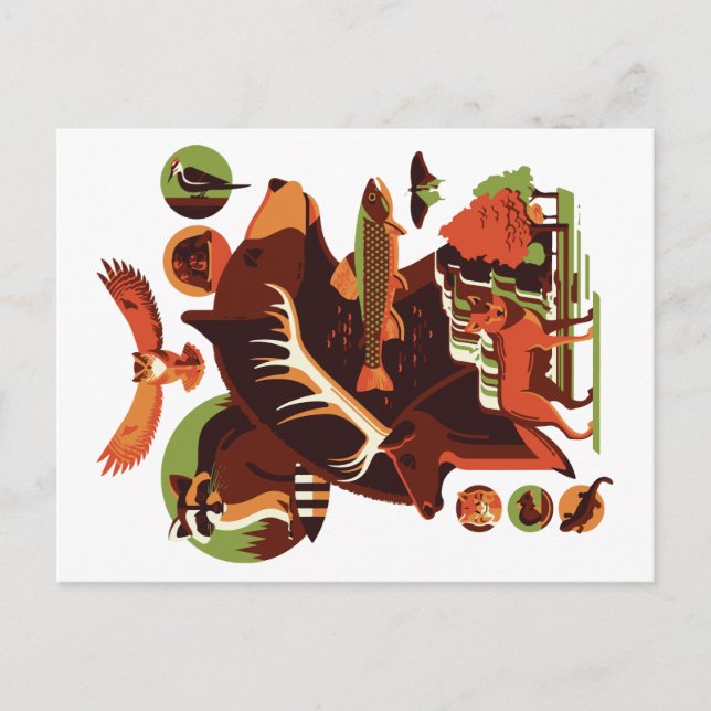 Wild Animals V.07 Postcard (Front)