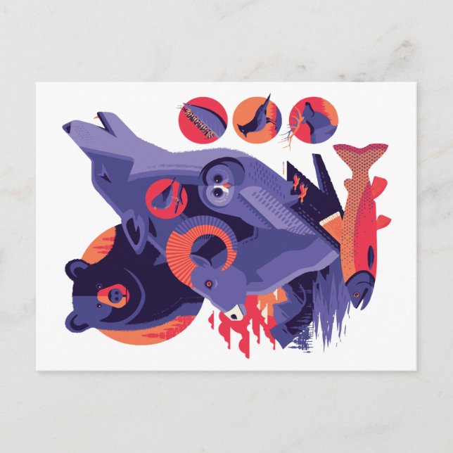 Wild Animals V.12 Postcard (Front)