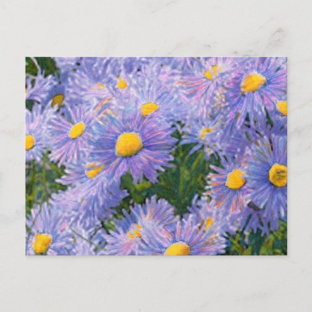Wild Asters Mixed Media Drawing Postcard (Front)