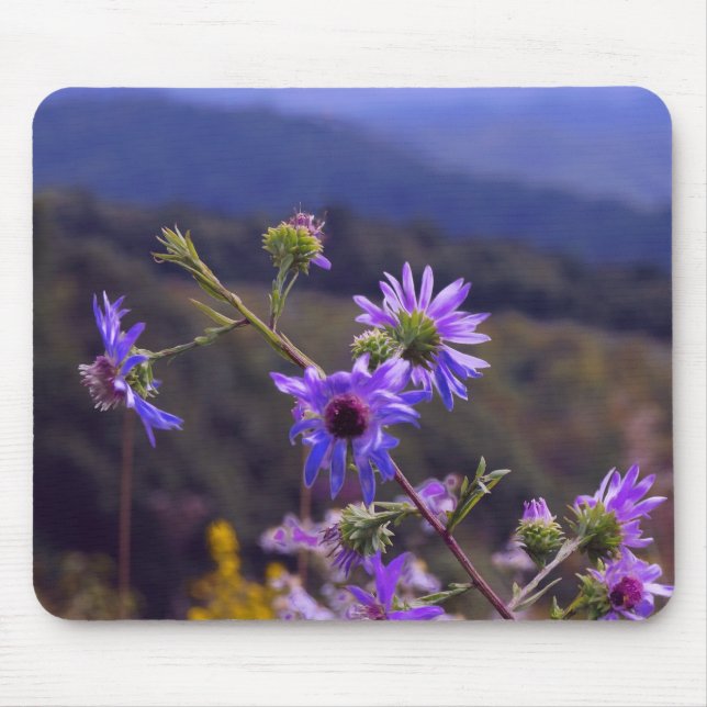 Wild Asters Mouse Pad (Front)