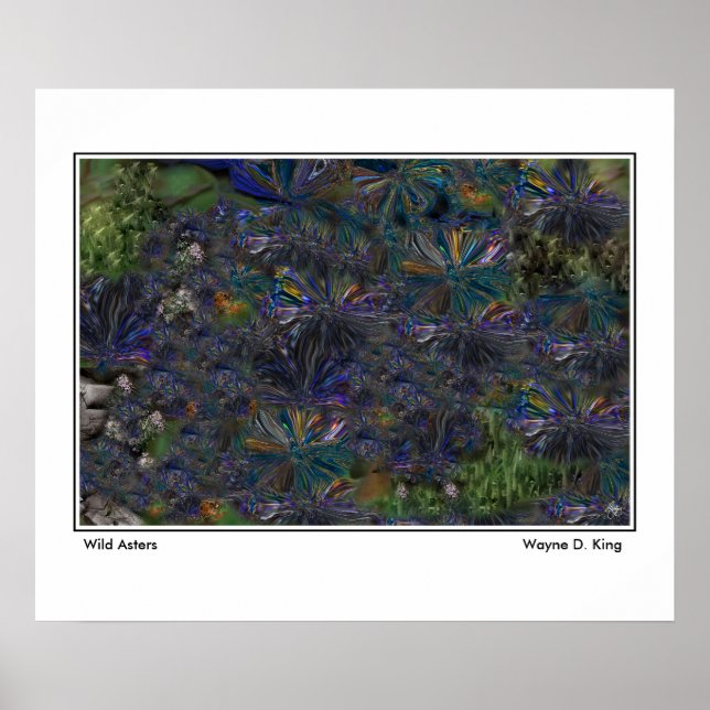 Wild Asters Poster (Front)