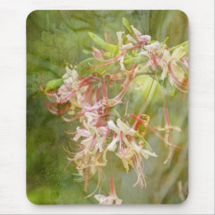 Wild Azalea Blossoms = Springtime Mouse Pad