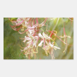 Wild Azalea Blossoms = Springtime Sticker