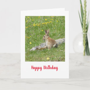 Wild baby rabbit Birthday card