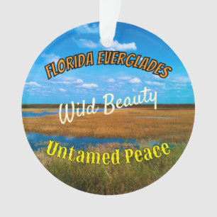 Wild Beauty Untamed Peace Everglades Scenic Ornament