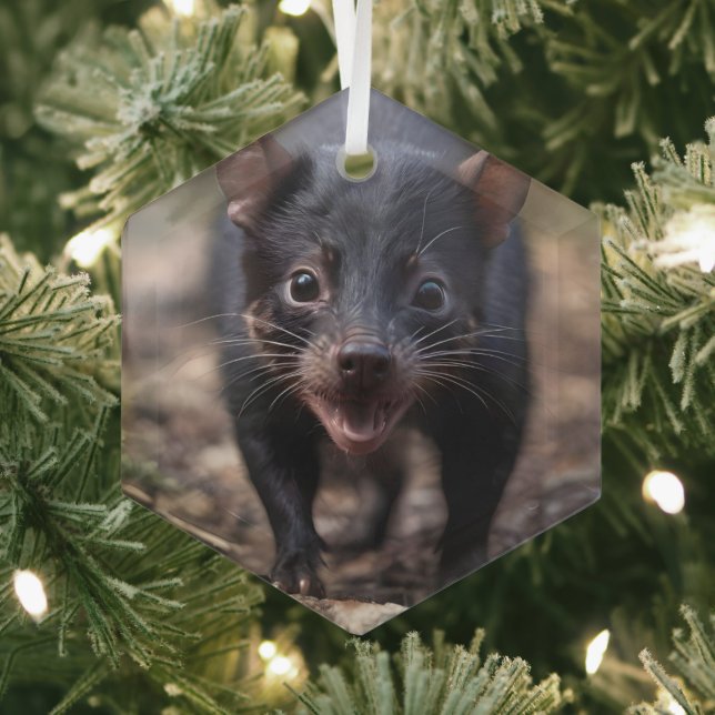 Wild Beginnings: The Young Tasmanian Devil Glass Ornament (Insitu)
