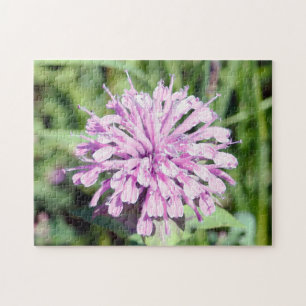Wild Beramot - (Pink Bee Balm) Jigsaw Puzzle
