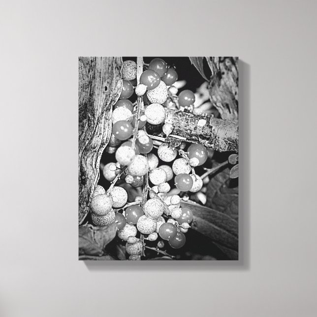 Wild Berries Black And White    Canvas Print (Front)
