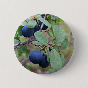 Wild Berries button